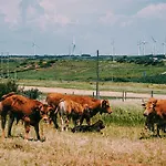 Aloha Konukevi Burgau