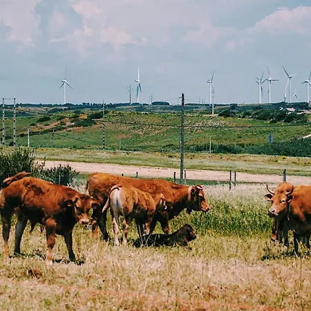 Aloha Affittacamere Burgau